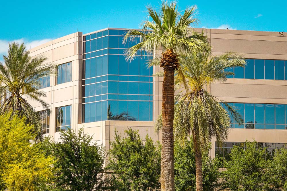 Property management Surprise